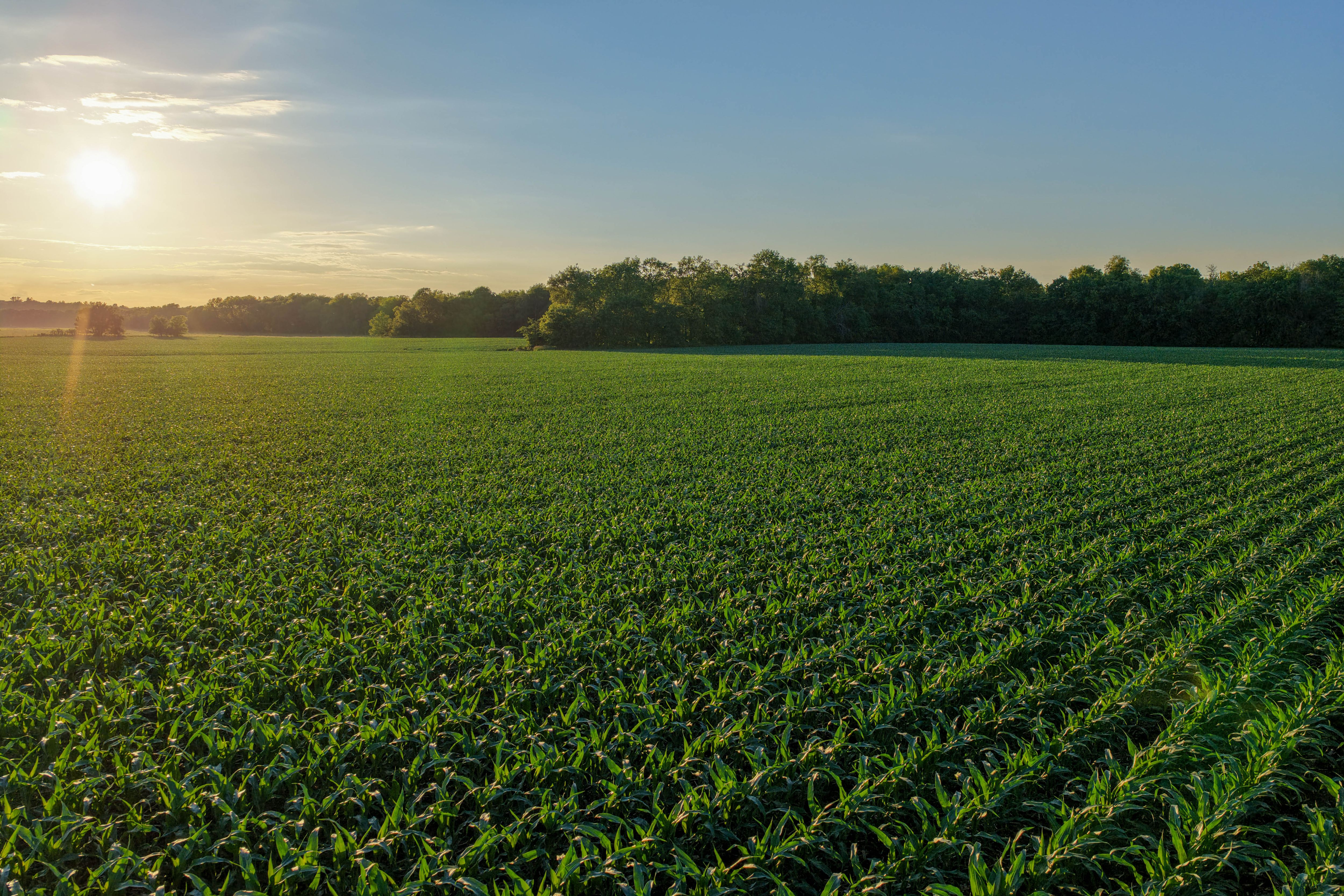 Listing Photo: Hard Surface road plus 40 acre Building Site Johnson County Iowa-18